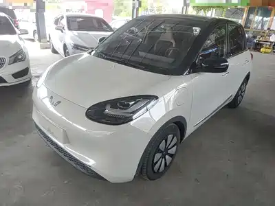 Wuling Bingo