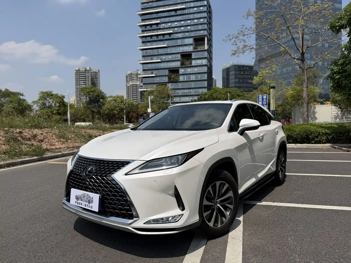 Фото 1 - Lexus RX