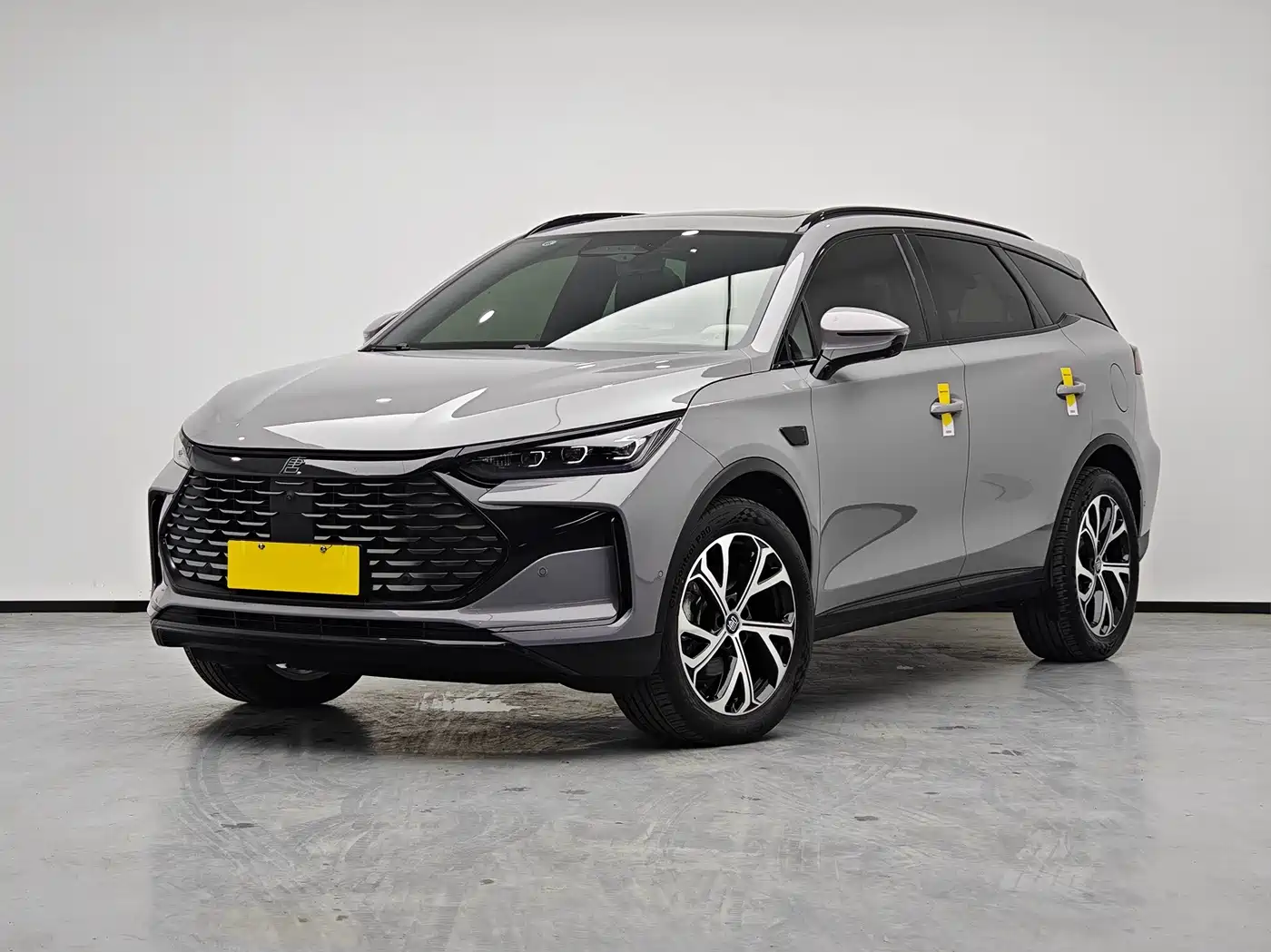 BYD Tang New Energy 2025 Smart Driving Edition DM-i 115KM Flagship