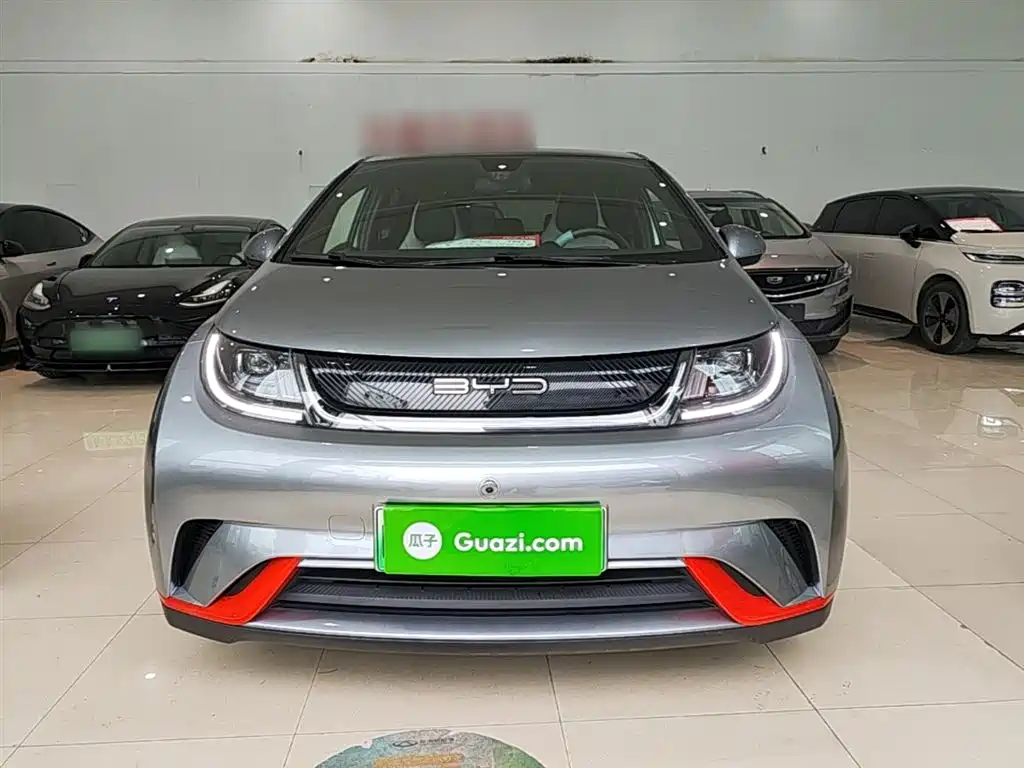 BYD Dolphin 2021 Model 405km Fashion Edition фото 3