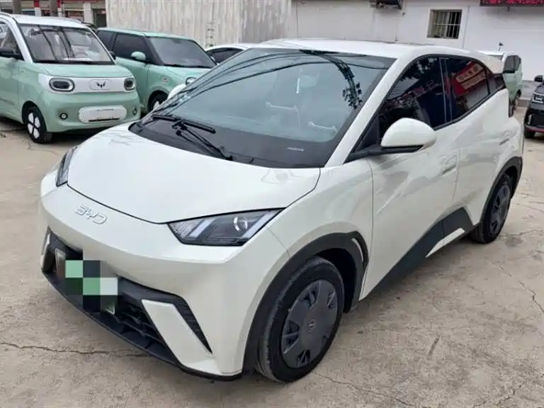 BYD Seagull 2024 Glory Edition 305km Vitality Edition