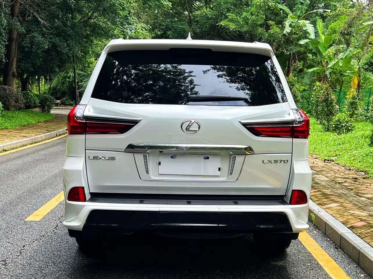 Lexus LX 2019 570 Peak Special Edition фото 20