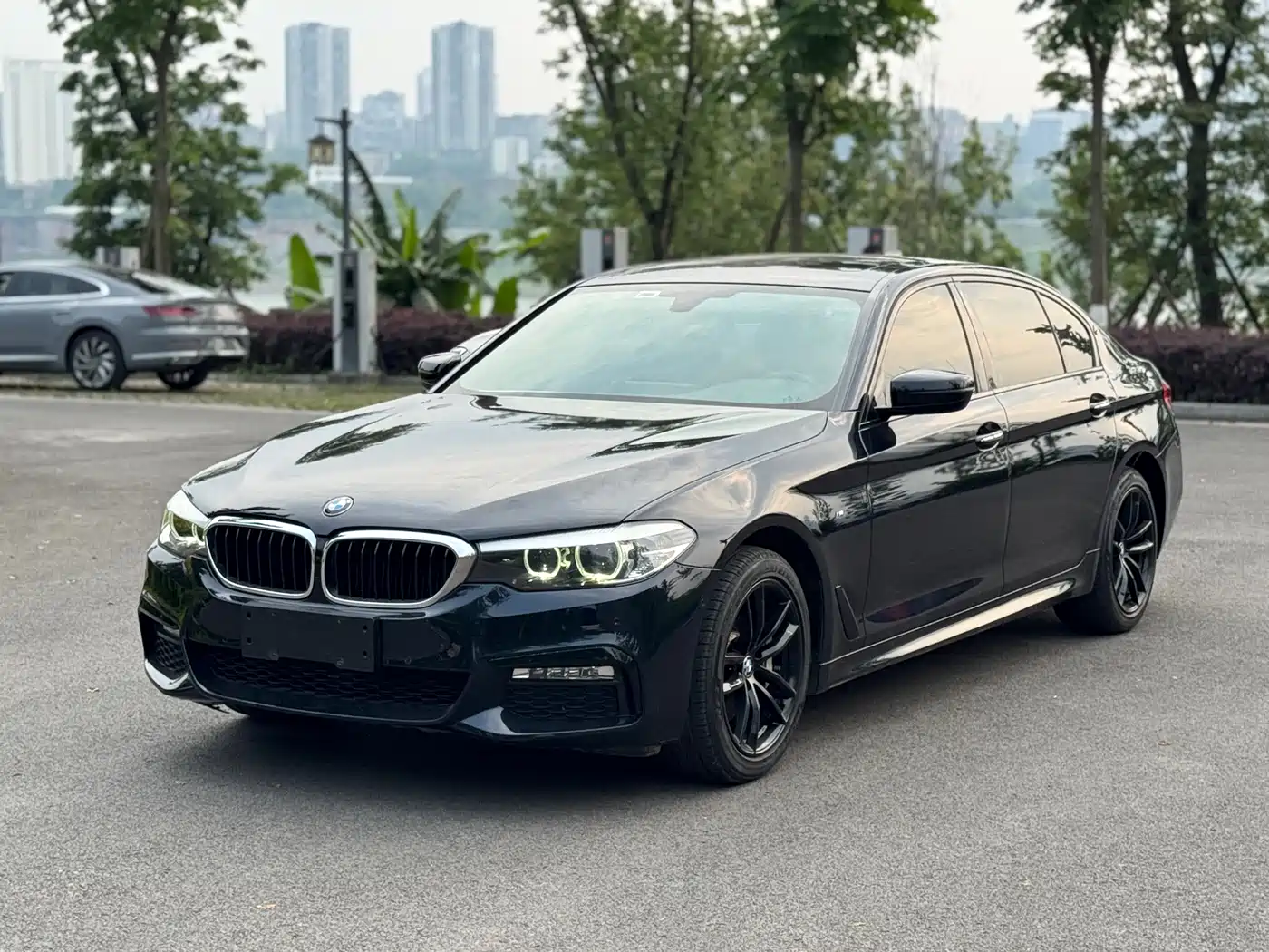 BMW 5 Series 2018 530Li Leading M Sport Package