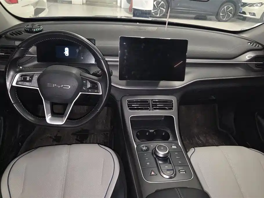 BYD Destroyer 05 2024 Glory Edition DM-i 55KM Luxury фото 12