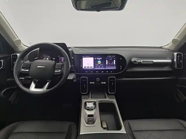 Haval Big Dog 2024 1.5T DCT Border Collie Edition — фото 5