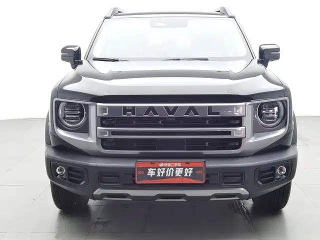 Haval Big Dog 2024 1.5T DCT Border Collie Edition — фото 3