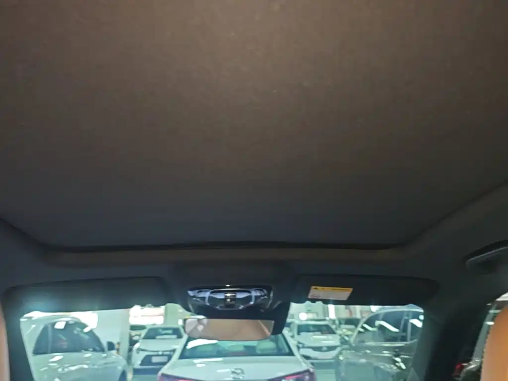 Roewe RX5 2023 2023 1.5T Honor Slide Screen Edition