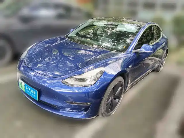 Tesla Model 3 (Import) 2019 Performance High-Efficiency All-Wheel Drive Version — фото 1