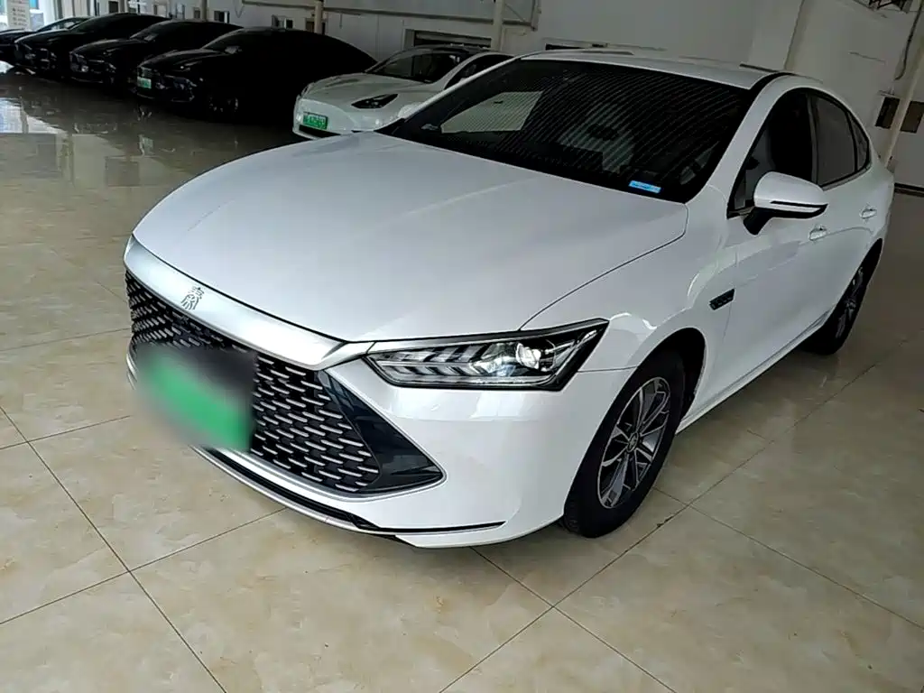 Фото 1 - BYD Qin PLUS