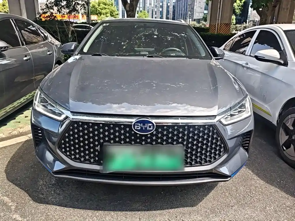 BYD e2 2021 2020 Upgraded Standard Range Comfort