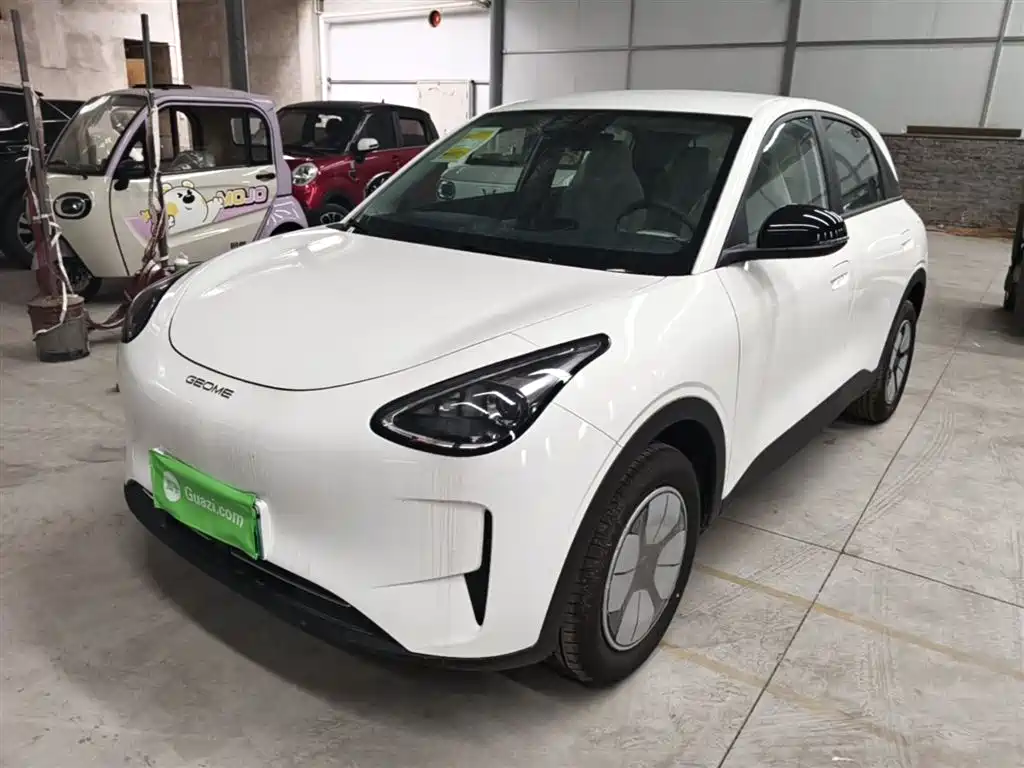 Geely Galaxy Starry Wish 2026 Edition 310km Youth Version