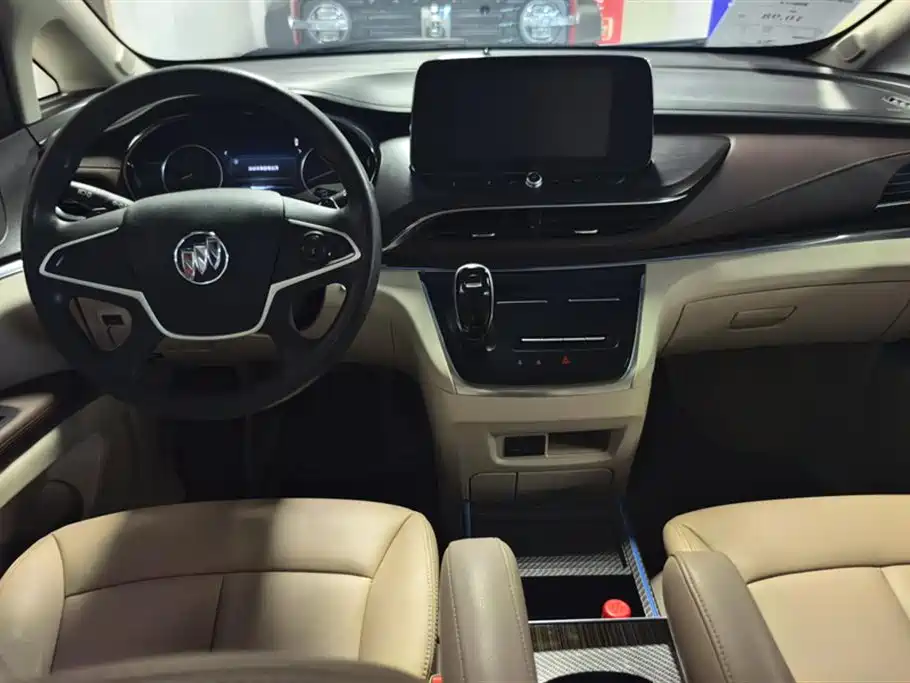 Buick GL8 2020 Model Land Business Class 652T Comfort фото 12