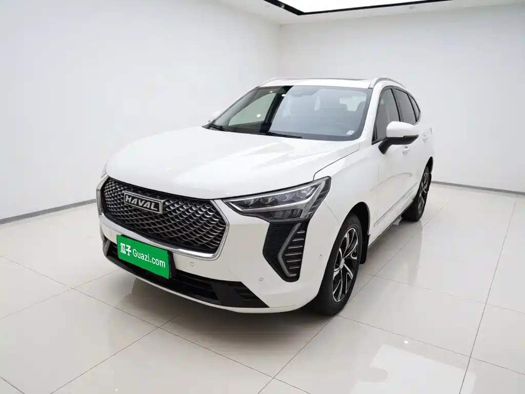 Haval First Love 2021 2021 1.5T Automatic Premium Edition