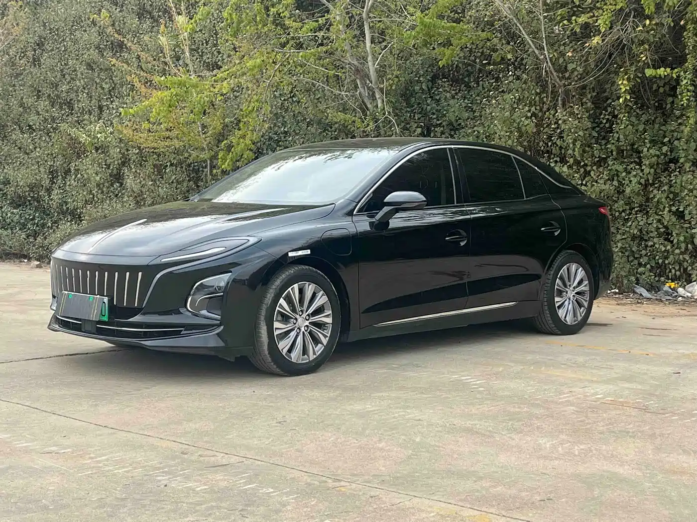 Hongqi HONGQI E QM5