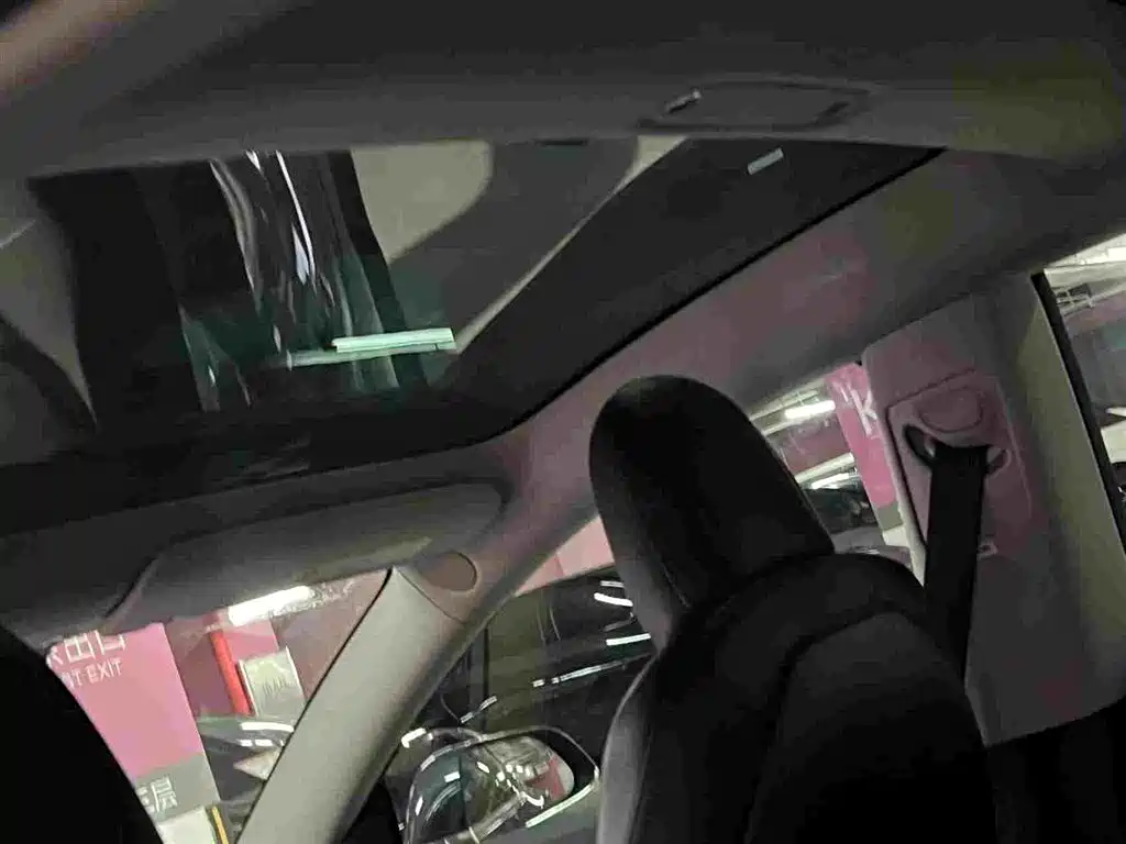Tesla Model 3 (Import) 2019 2019 Performance High-Efficiency All-Wheel Drive Version