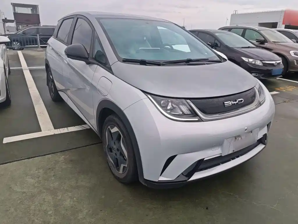 BYD Dolphin 2022 2021 405km Freedom Edition