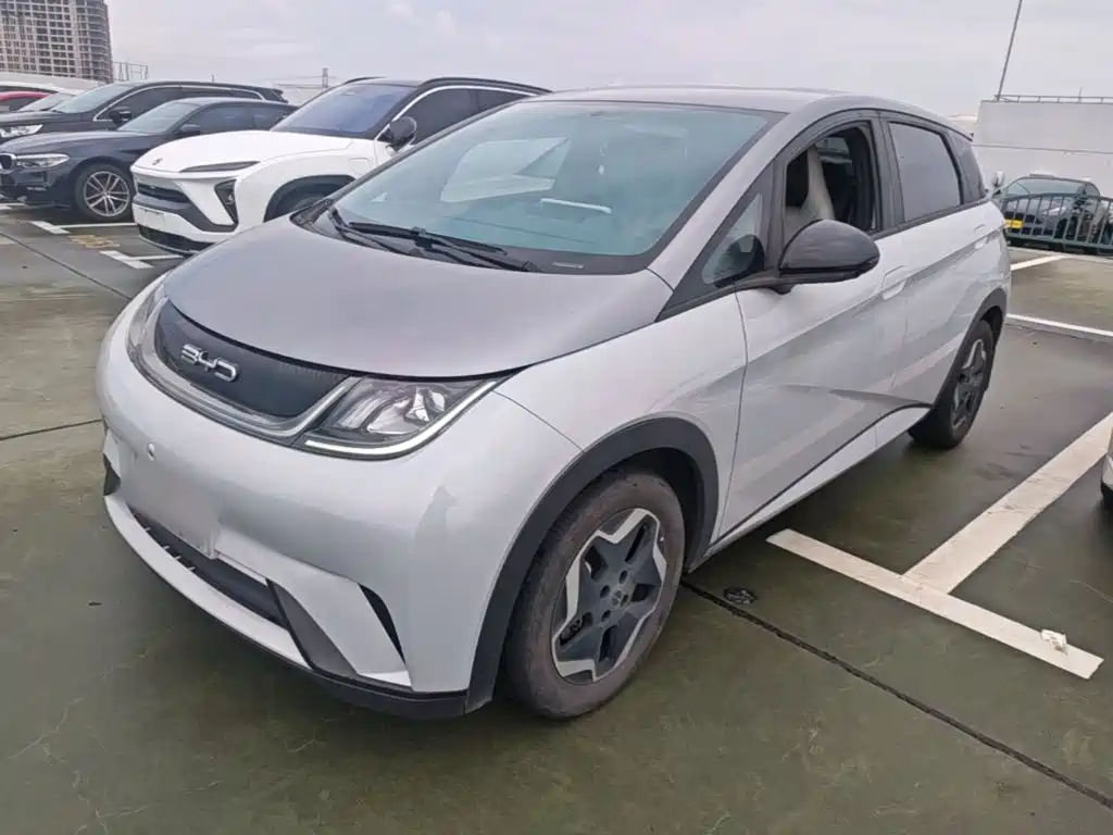 BYD Dolphin 2022 2021 405km Freedom Edition