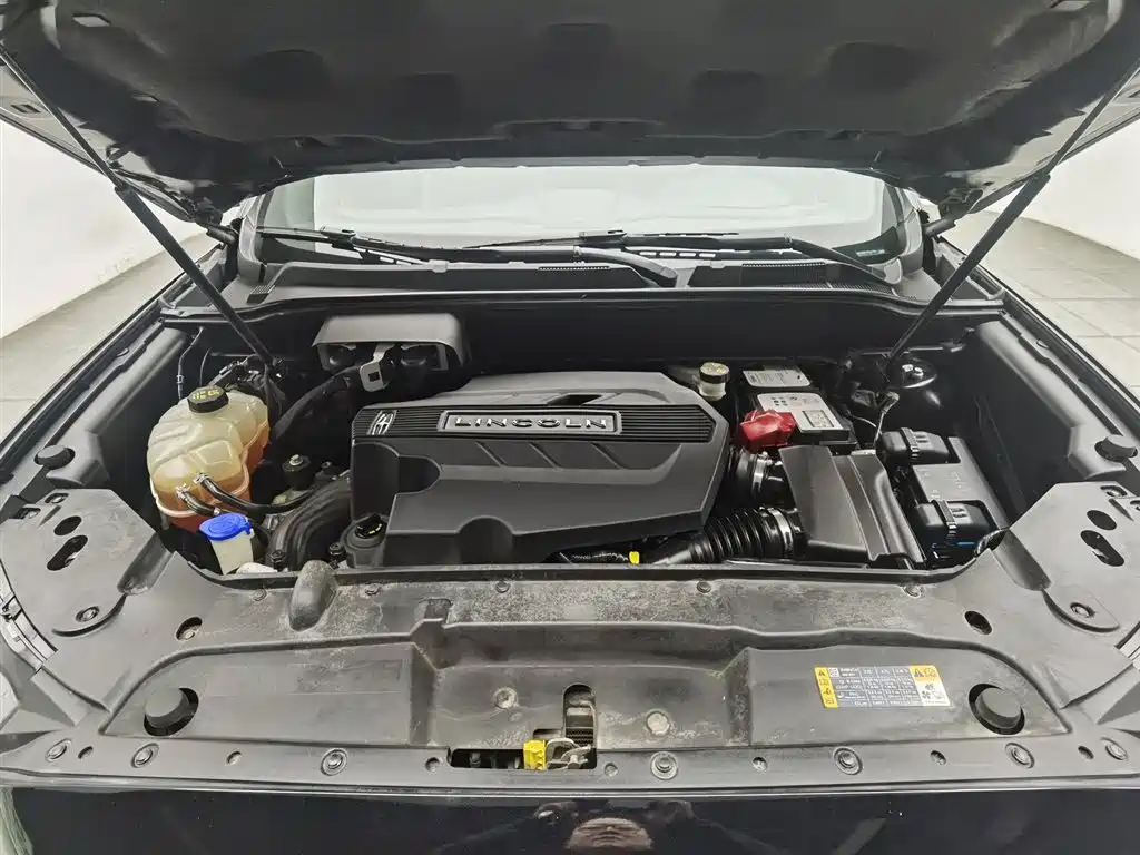 LINCOLN NAVIGATOR (IMPORT)