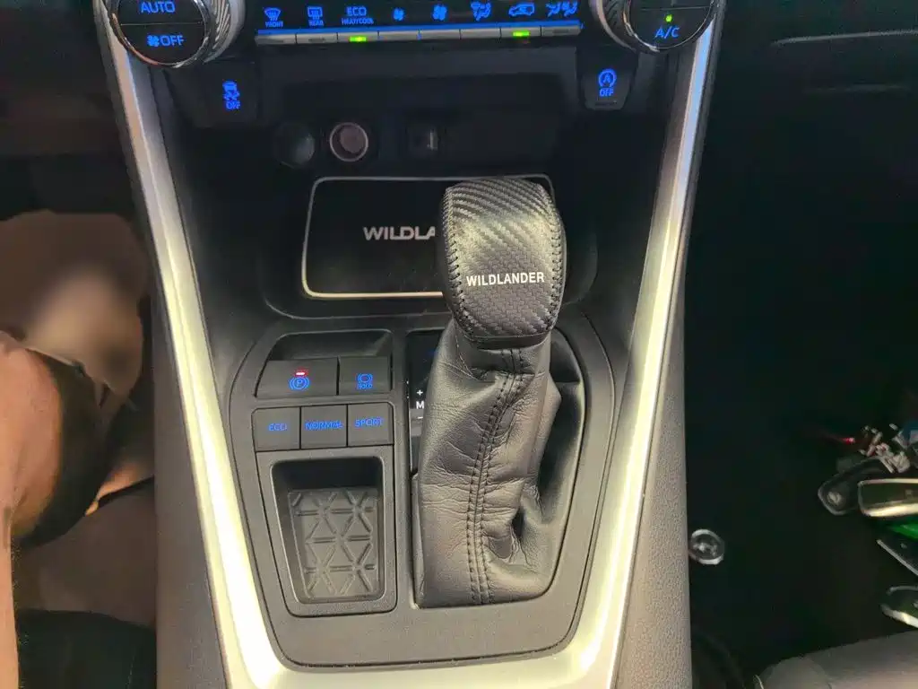 Toyota Wildlander 2020 2020 2.0L CVT 2WD Luxury Edition