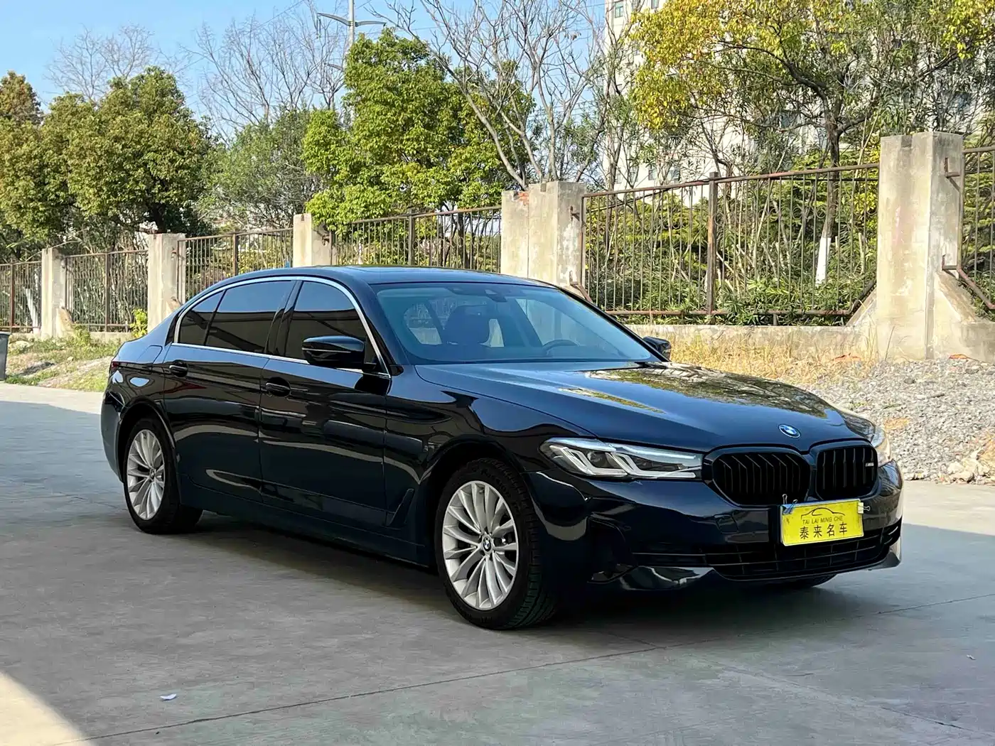 BMW 5 Series 2021 525Li Luxury Package фото 3