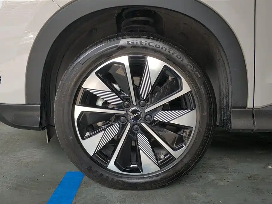 BYD SONGJIANG NEW ENERGY