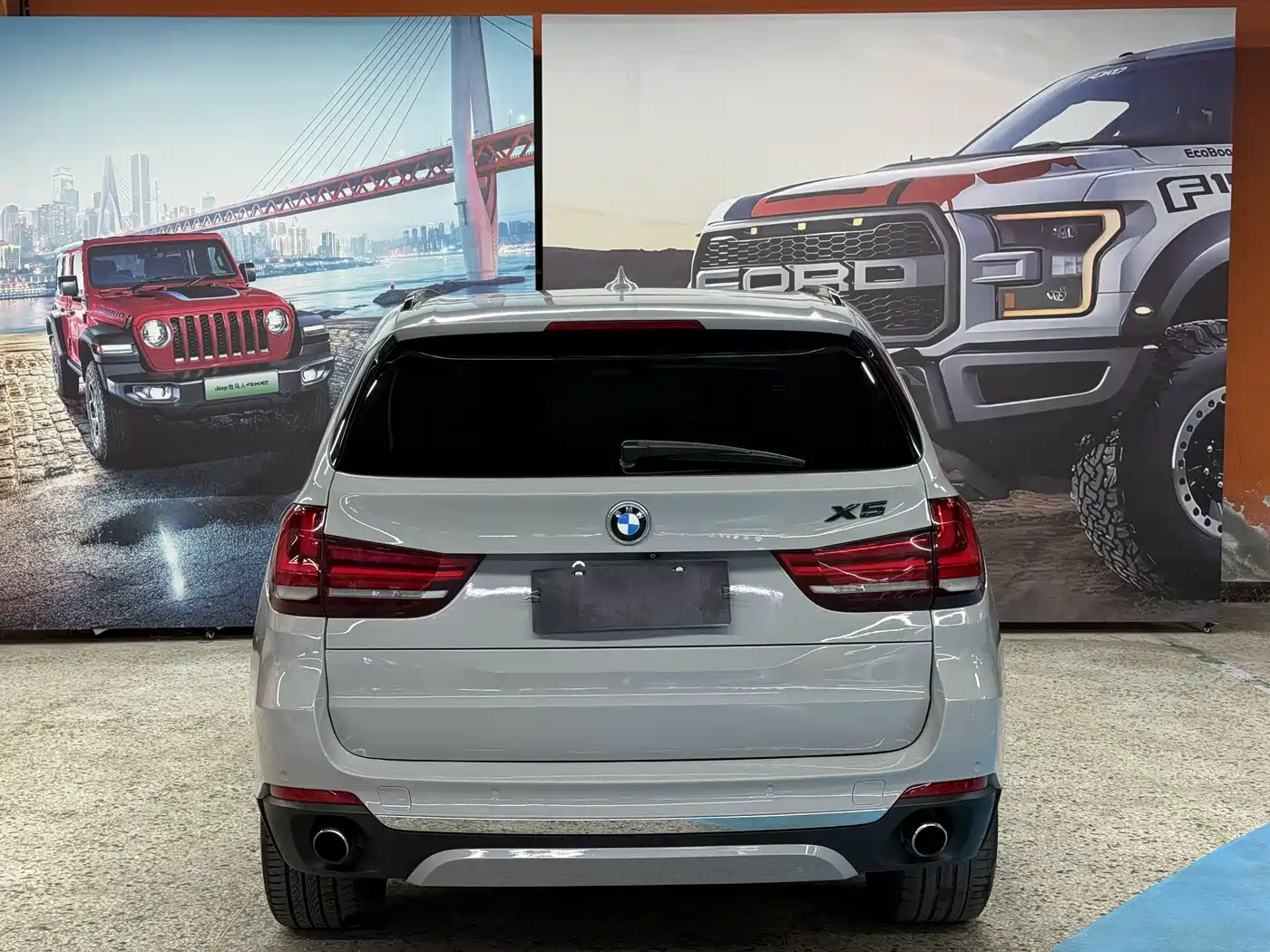 BMW X5 (Import) 2014 xDrive35i Luxury фото 8