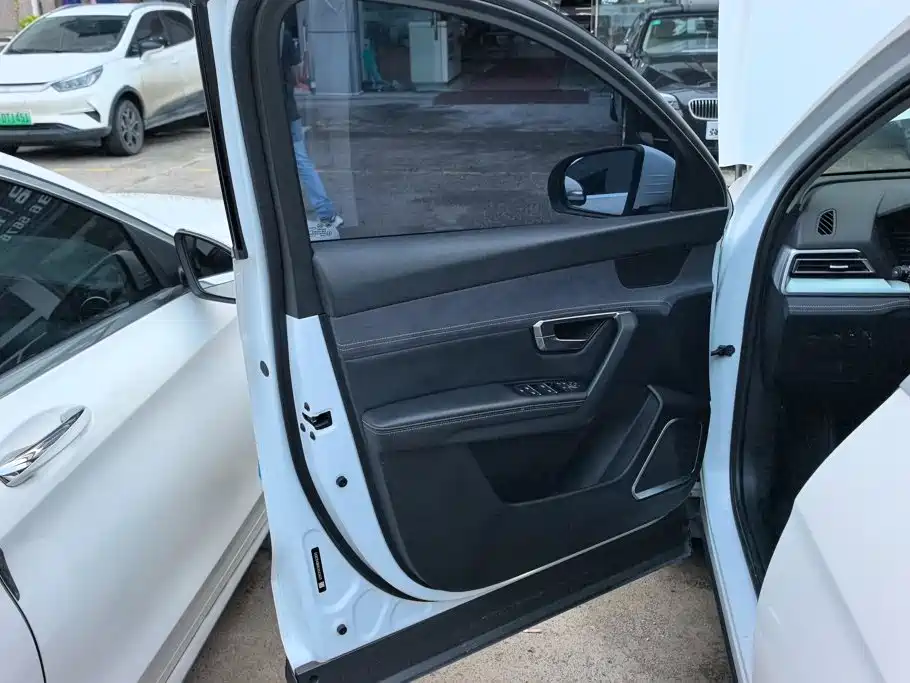 BYD Song Pro New Energy 2021 2019 EV High Power Luxury Model