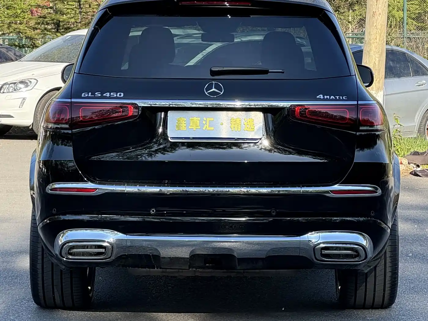 Mercedes-Benz GLS 2023 GLS 450 4MATIC Luxury Edition фото 10