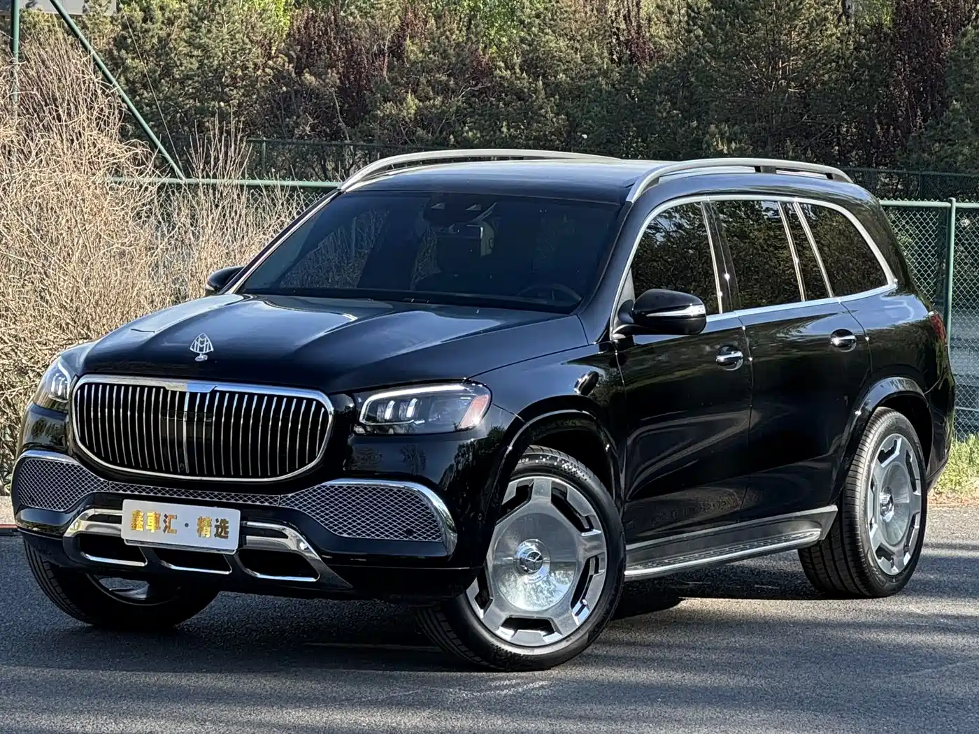Mercedes-Benz GLS 2023 GLS 450 4MATIC Luxury Edition фото 4