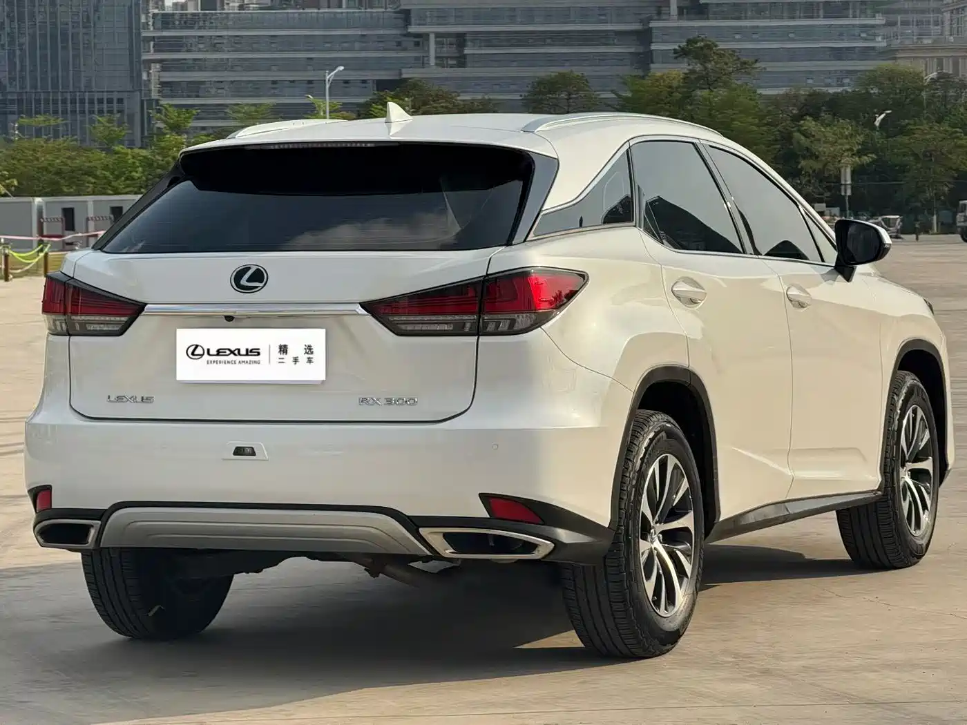 Lexus RX 2020 Facelift 300 2WD Elite Edition фото 3