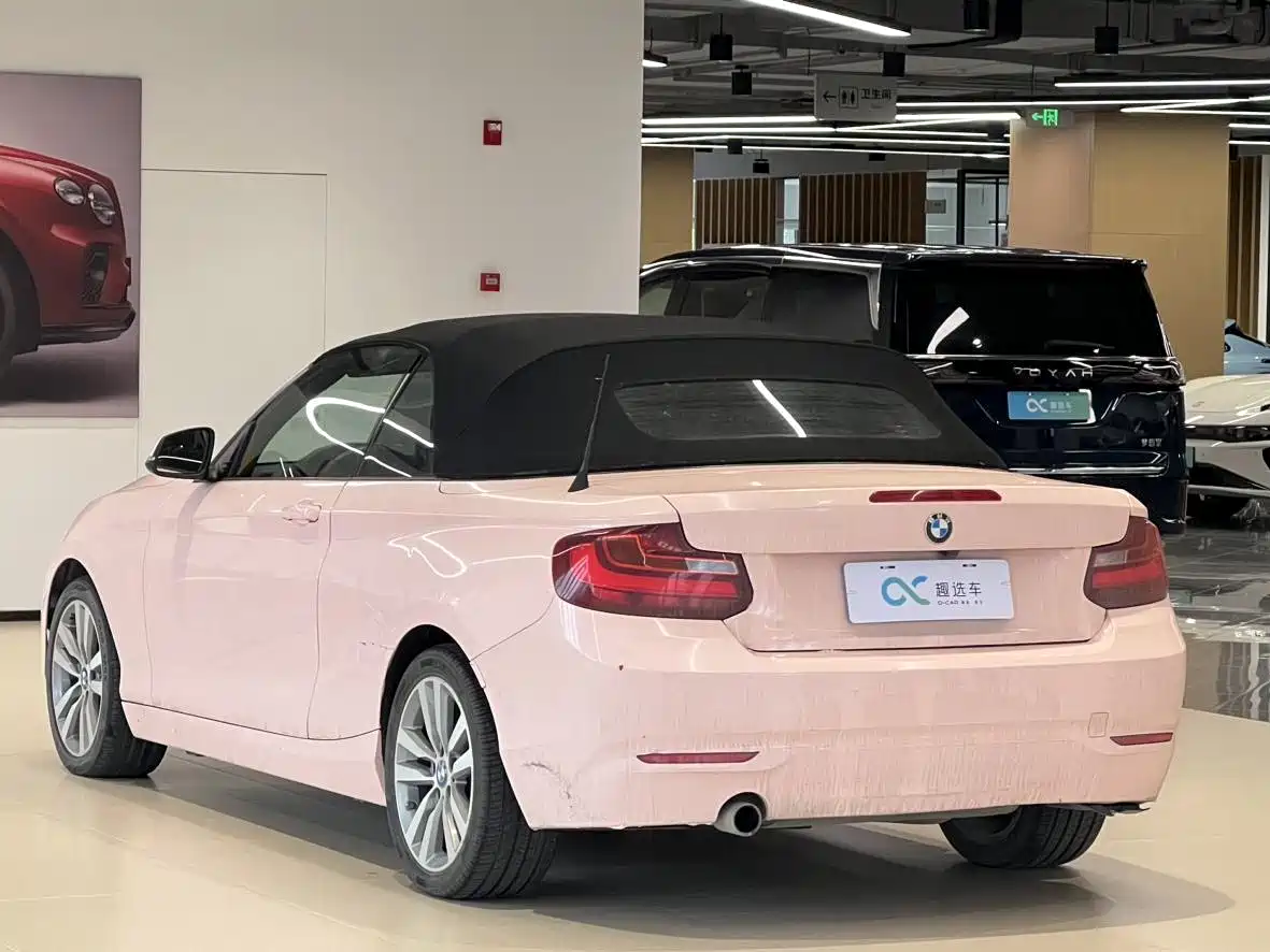BMW 2 Series (Import) 2015 220i Convertible Coupe Leading фото 5