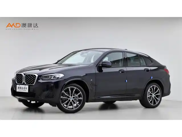 BMW X4 2022 xDrive 30i M Sport Package