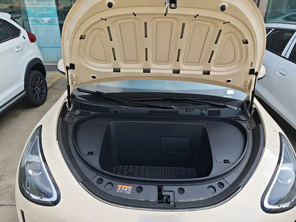 Geely Galaxy Starry Wish 2026 2026 Edition 310km Youth Version
