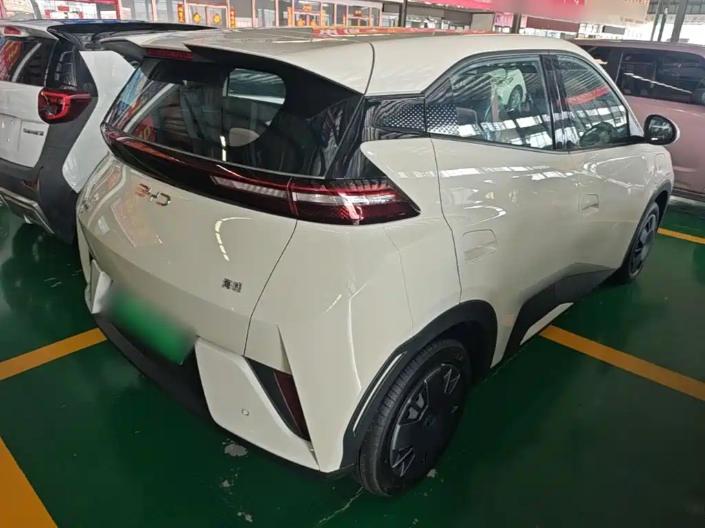 BYD Seagull 2026 2025 Smart Drive Edition 305km Vitality Version
