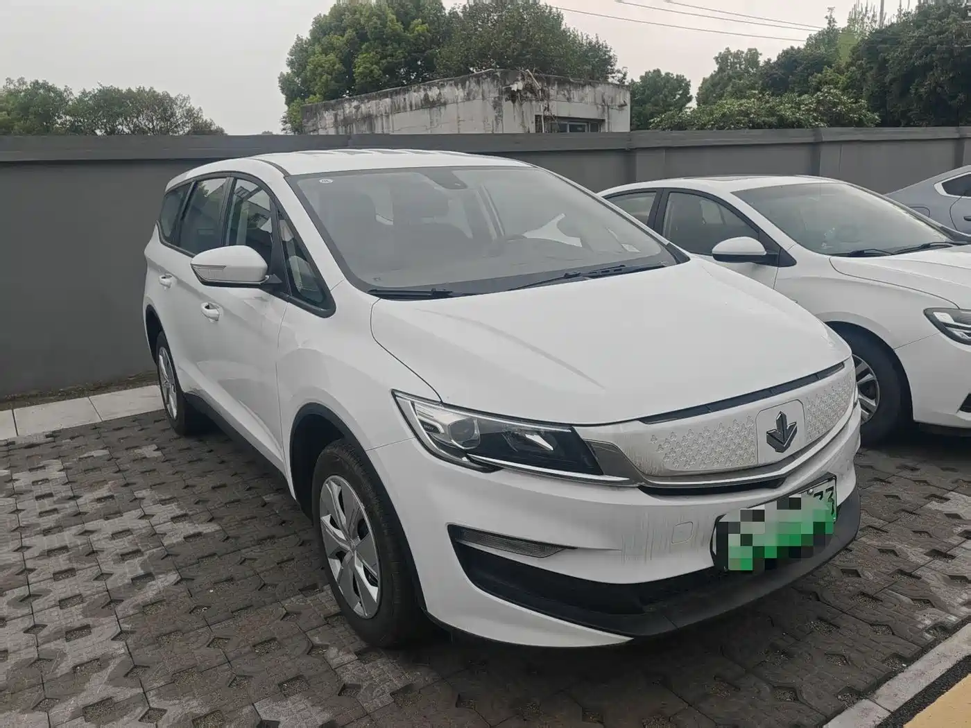 RUILAN AUTOMOBILE MAPLE LEAF 80V L