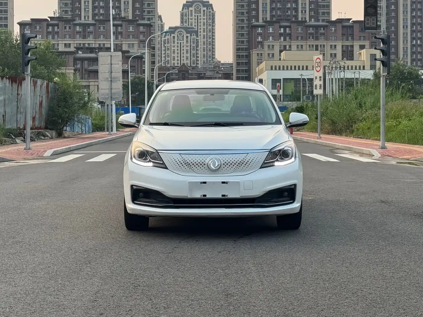 Dongfeng Aeolus Dongfeng Fengshen E70 2019 2020 500 Ultra Joy Edition