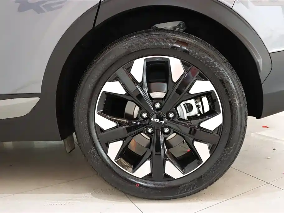 KIA LION PLATINUM EXPANDS THE WORLD