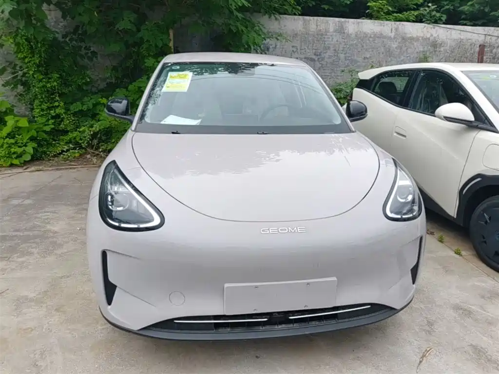 Geely Galaxy Starry Wish 2026 Edition 310km Youth Version фото 3