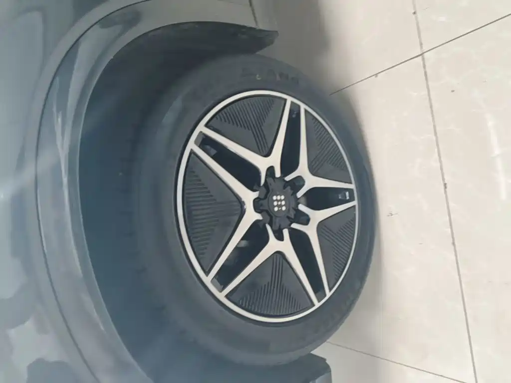 Landian E5 2024 2024 Glory Edition 100KM Ultimate Type 7-Seater