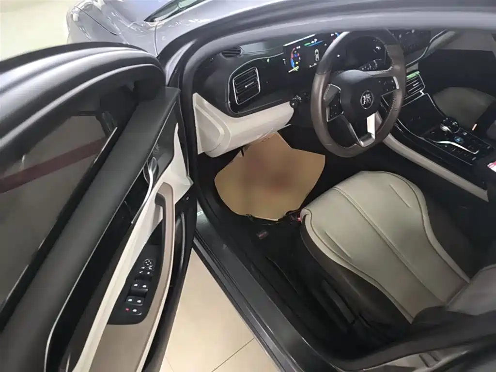 BYD Qin PLUS 2024 Glory Edition DM-i 120KM Leading фото 16