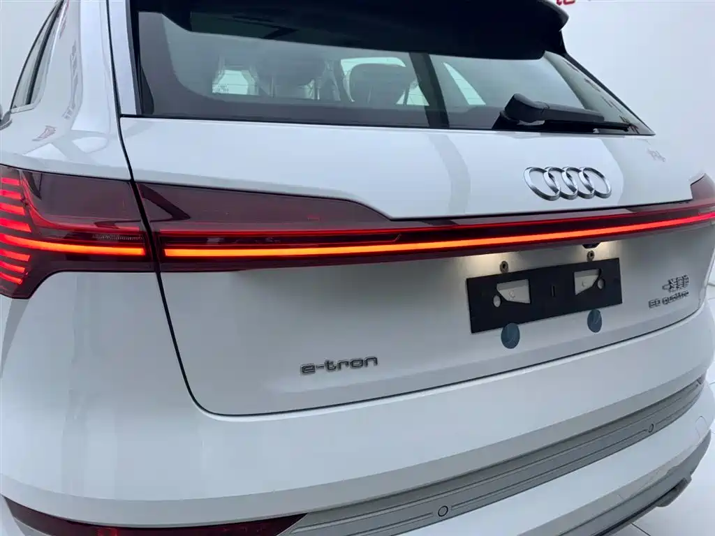 Audi e-tron 2021 50 quattro Luxury фото 8
