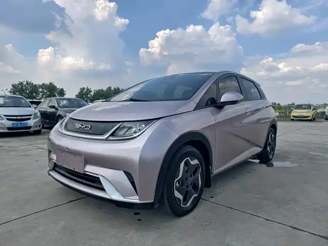 BYD Dolphin 405km, Стиль