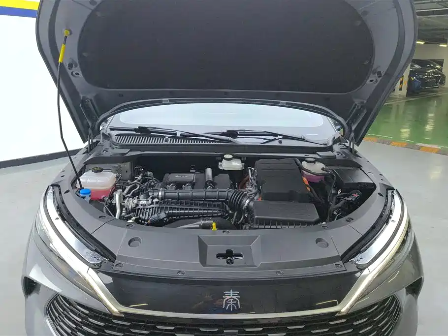 BYD Qin L 2024 DM-i 120KM Superior Edition фото 10