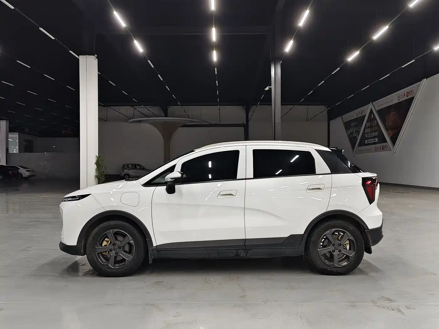 Geely Geometry E Firefly 2022 2022 401KM Delicate Tiger 4-seater