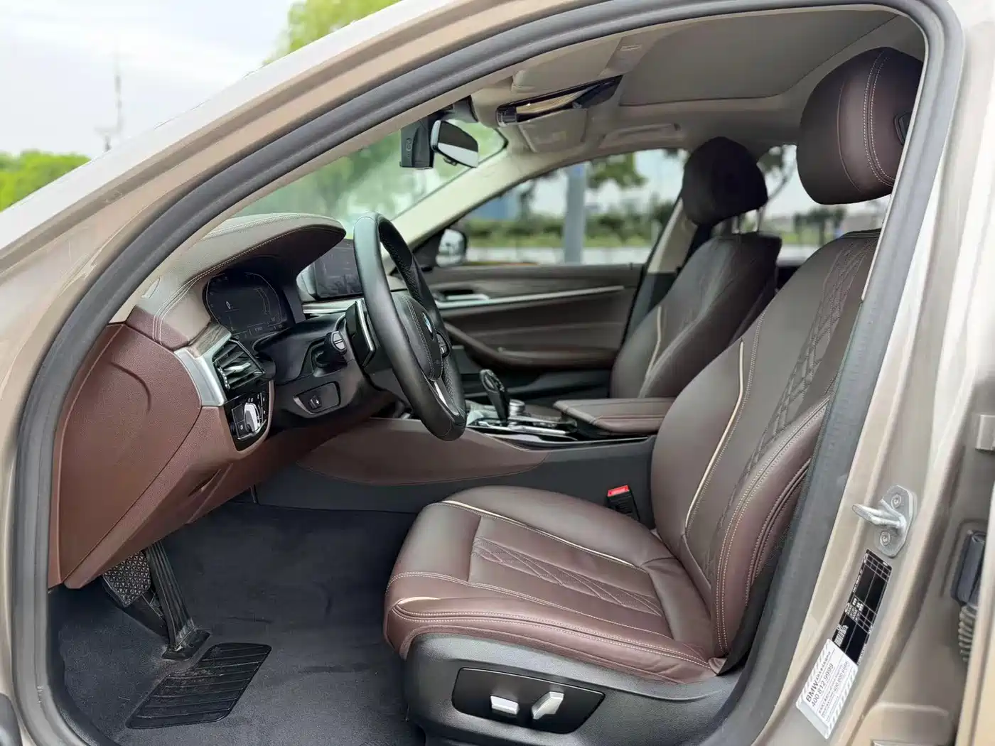 BMW 5 Series 2020 530Li Leading Luxury Package фото 5