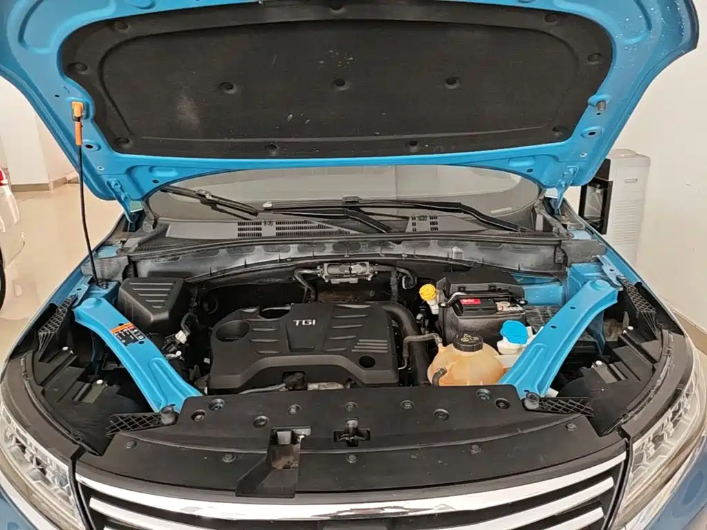 Фото 20 - Roewe RX5