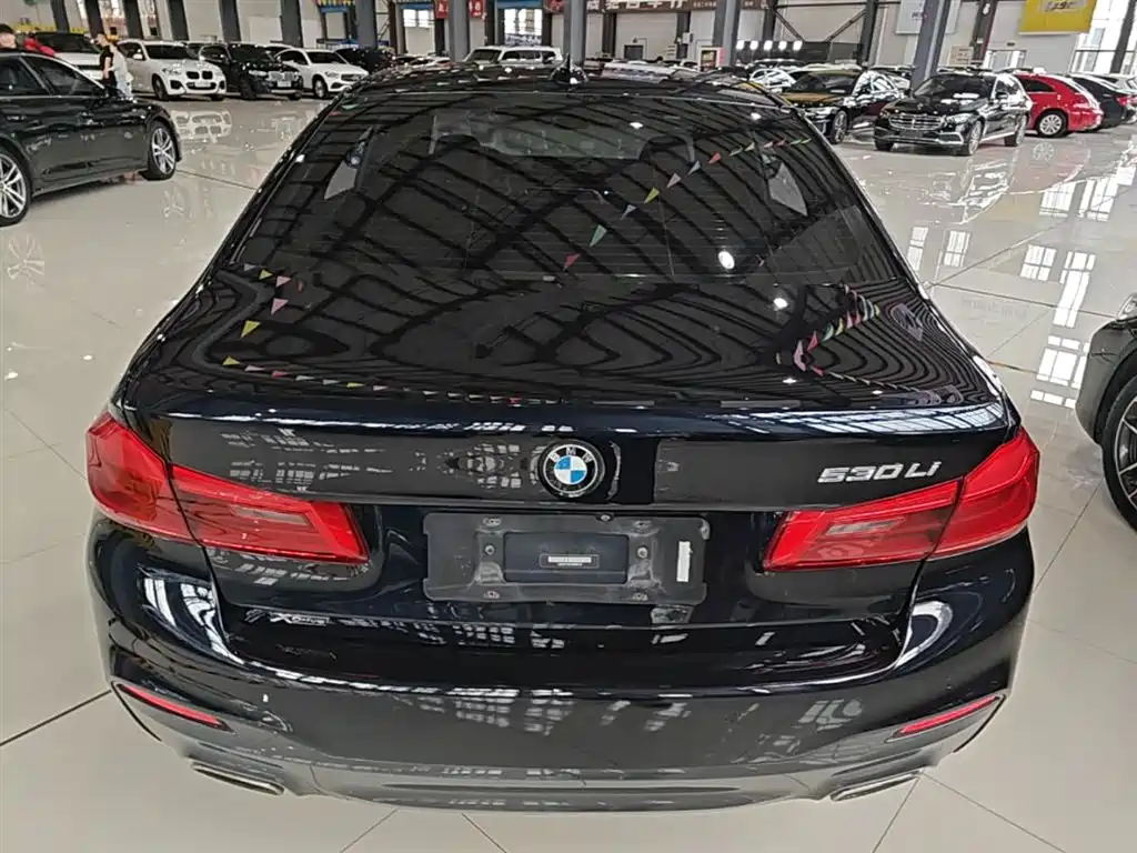 BMW 5 Series 2018 530Li xDrive M Sport Package фото 6