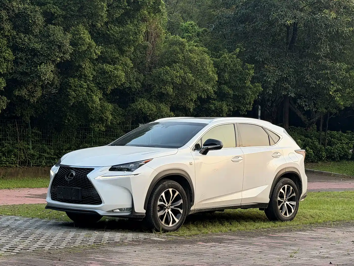 Фото 1 - Lexus NX