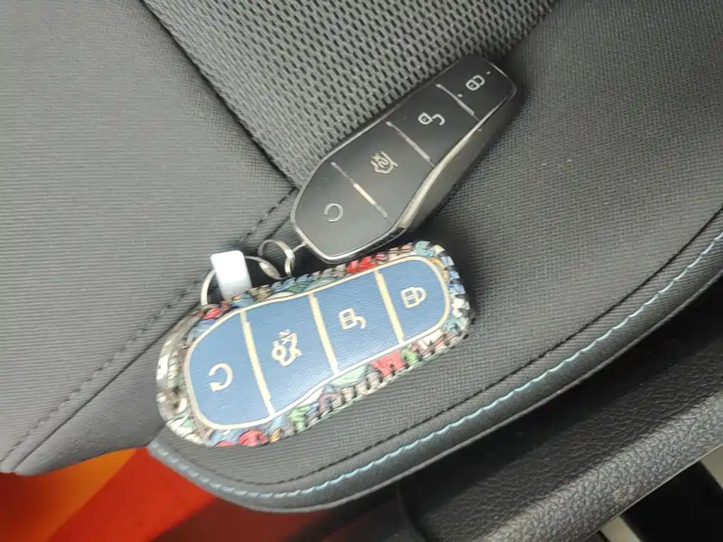 BYD e2 2021 2021 Standard