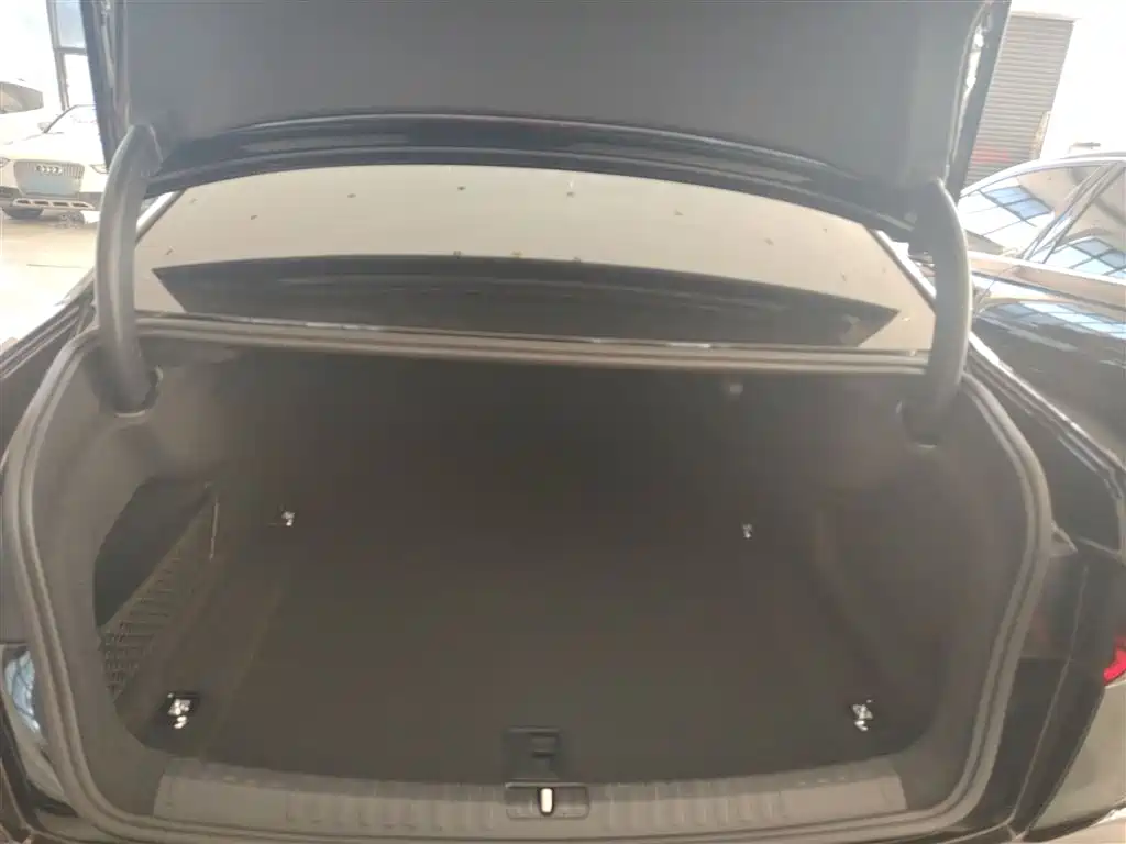 Audi A6L 2021 40 TFSI Luxury Sport фото 11